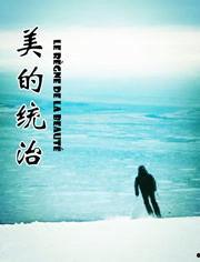 美的统治,探寻美学与权力交织的奥秘